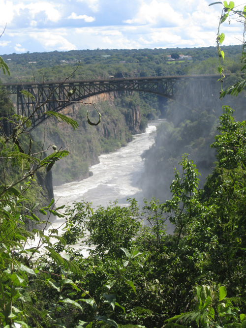 Bridge in Africa