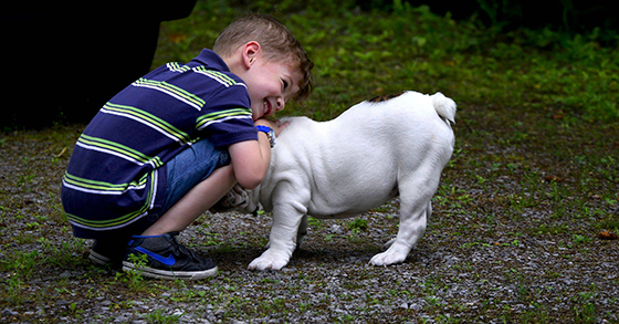 boy-with-dog-courtesy-of-Pixabay