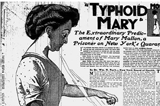Typhoid Mary Page