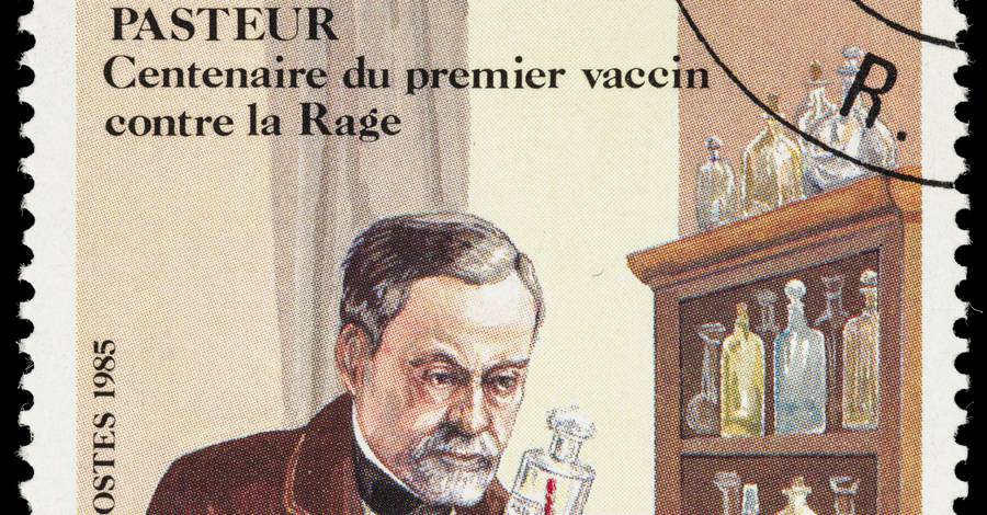 Луи пастер вакцина. Луи Пастер. Луи Пастер 1857. Луи Пастер вакцинация. Луи Пастер годы жизни.