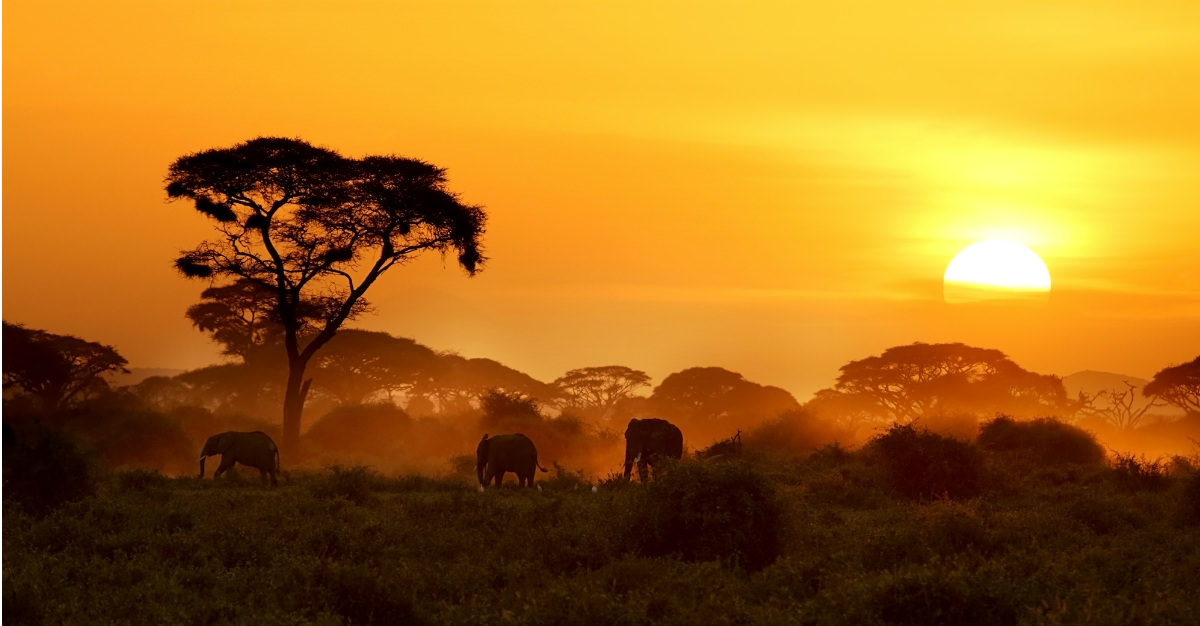 Africa is full of top-notch safari destinations, but no country bests the animal reserves in Kenya.