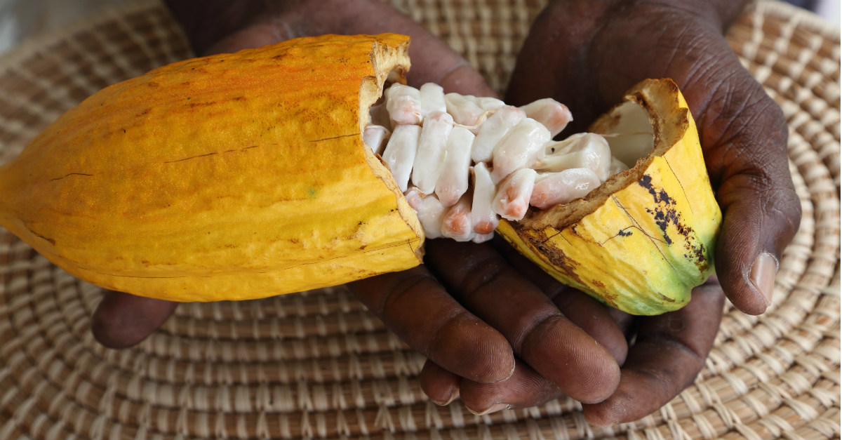 Cocoa beans and nutmeg are not in short supply throughout Grenada.