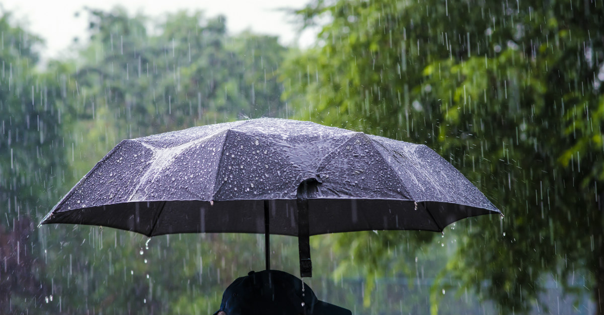Rain can help spread a virus across the world.