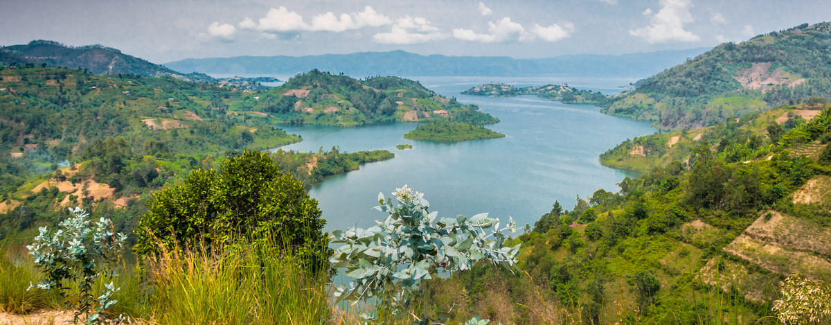 Rwanda - Tea - Visit Rwanda