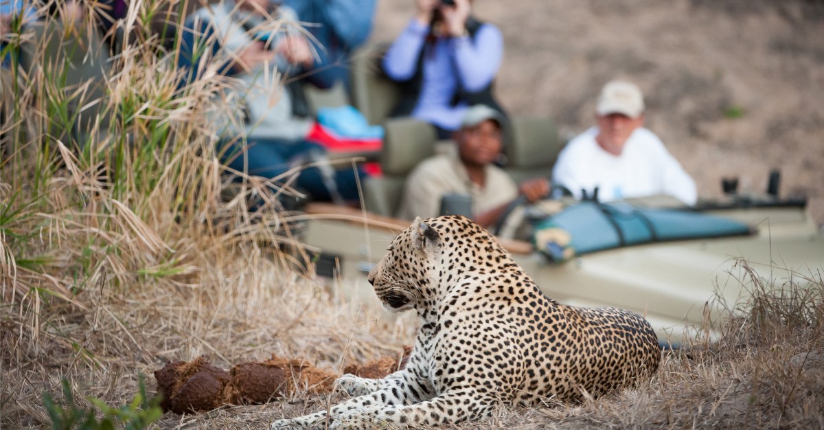 Changes to visas could provide a much needed boost for South African tourism.