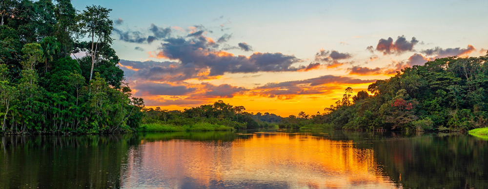 guyana scenery