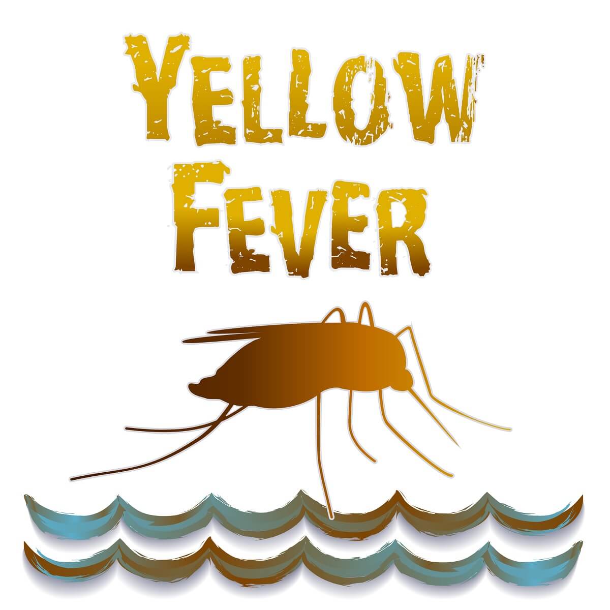 Yellow Fever Vaccines and Certifications in Sarasota