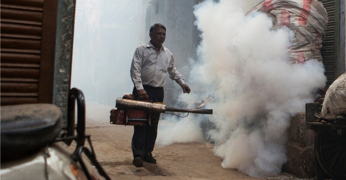 A higher temperature creates ideal conditions for mosquitoes in India.