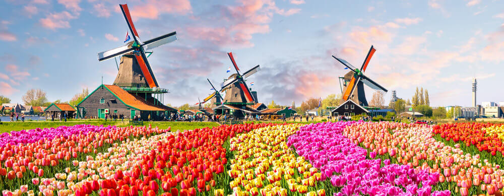 From windmills to tulips, the Netherlands has something for everyone. Visit Passport Health to ensure you travel safely.
