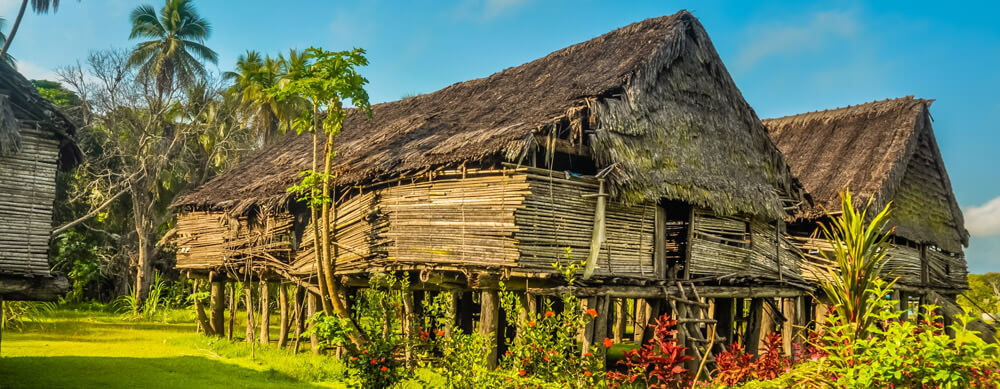 Thatch homes and wildlife are fascinating, but yellow fever isn't. Stay protected with vaccinations and more from Passport Health.