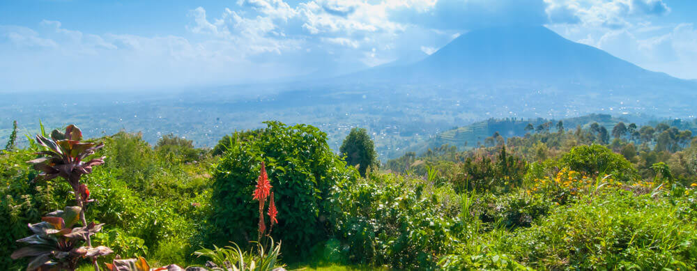 Amazing landscapes and fantastic urban areas make Rwanda very popular. But, infections are present. Learn more and stay protected with Passport Health.
