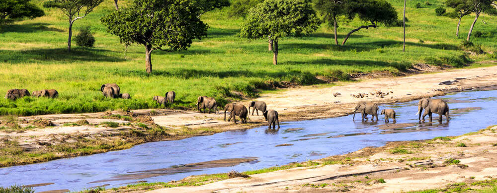 Safaris and wildlife are just two reasons to visit Tanzania. Travel safely with the help of Passport Health and its premier travel vaccination services.
