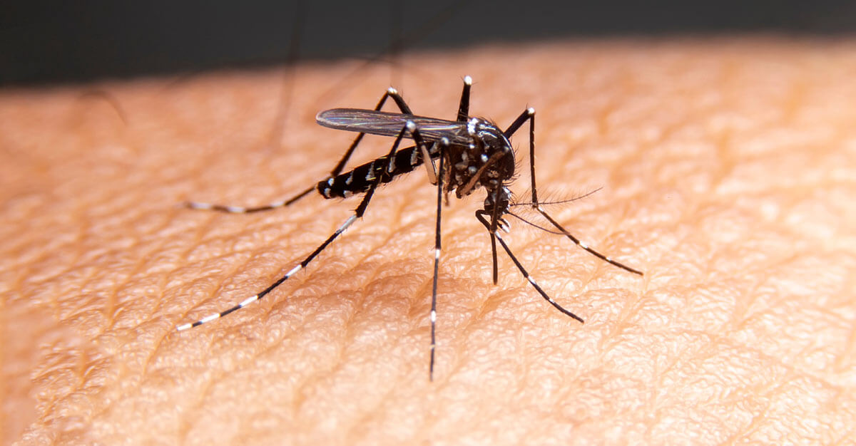 The 10 Best Mosquito Bite Relief Products of 2024