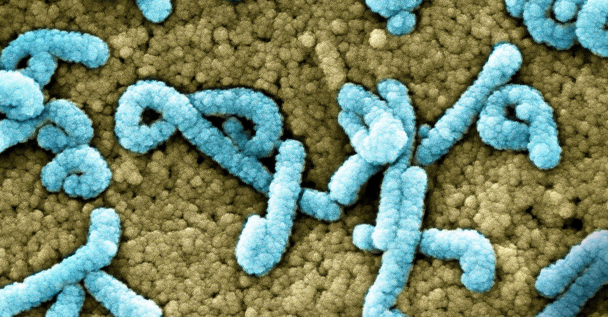 The Marburg outbreak in Tanzania is spreading.
