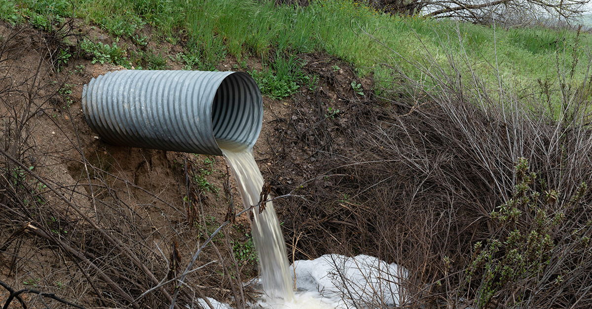 Wastewater is becoming an important tool in disease detection.