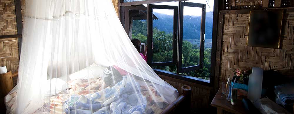 While Chikungunya is rarely deadly, the virus is still a threat to many types of travelers.