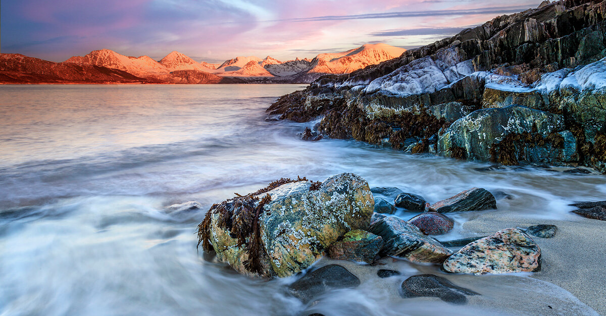 Climate change may lead to new infections coming from the Arctic.