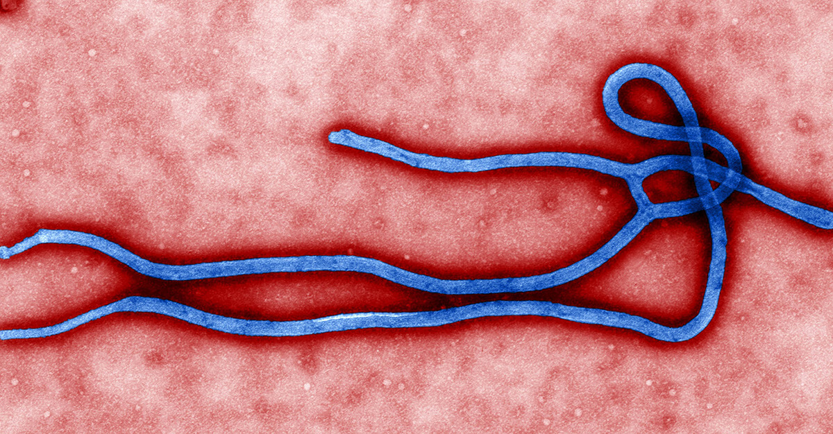 Ebola's most recent outbreak may be at an end.
