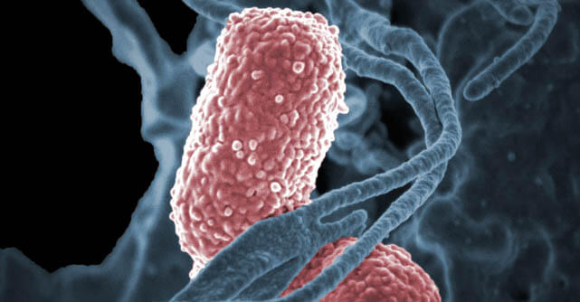 Auto-brewery syndrome causes gut bacteria to produce alcohol inside the body.