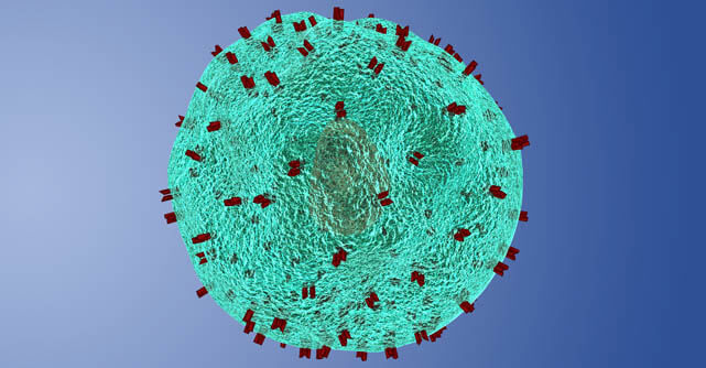Brain immune cells can destroy themselves to stop Toxoplasma gondii from spreading.