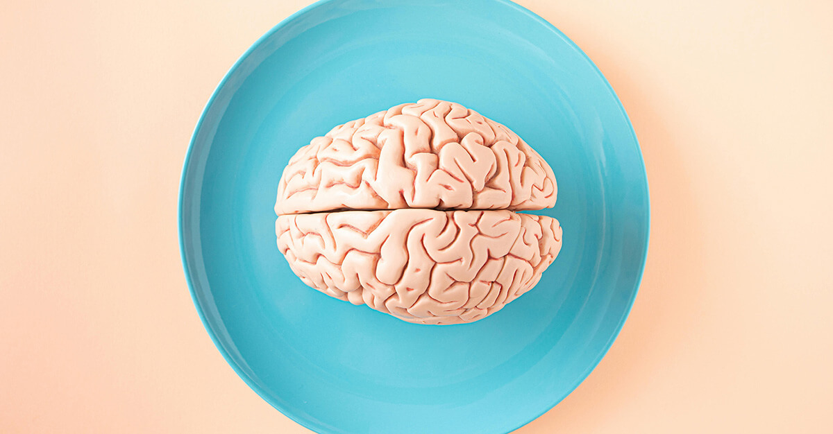 Brain Model on Plate