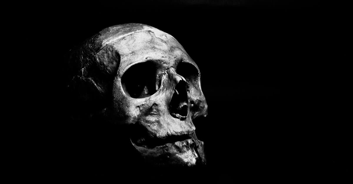 Grayscale Photography of Human Skull
