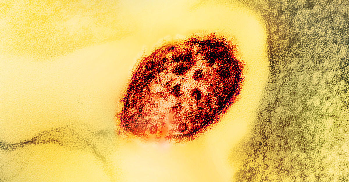 Colorized transmission electron micrograph of a measles virus particle (red). Credit: microscopy by CDC; layout, colorization and visual effects by NIAID.