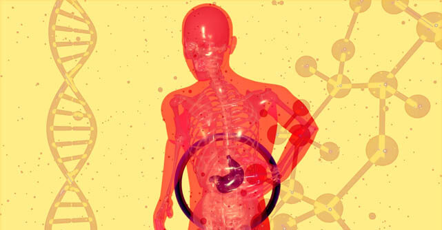 Researchers discovered a gut protein that both blocks and destroys harmful microbes.