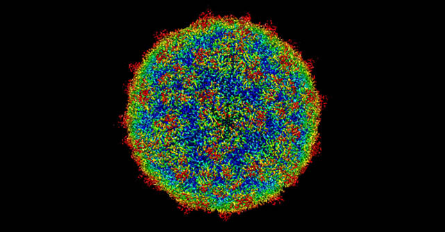 Researchers identified the oldest known RNA virus in preserved human lung tissue.