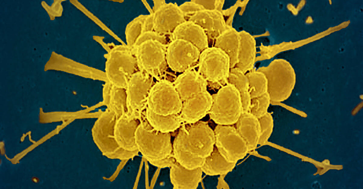 New pills could be key to stopping further infection resistance.