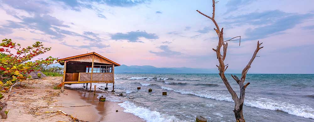 Ocean views, relaxed lifestyles and more attract travelers to Burundi. Enjoy your trip from start to finish with protection provided by vaccines and more.