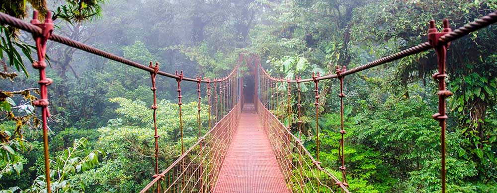 Eco-tourism and jungle exploration is thriving in Costa Rica. Visit parts unknown with help from Passport Health's vaccination services.