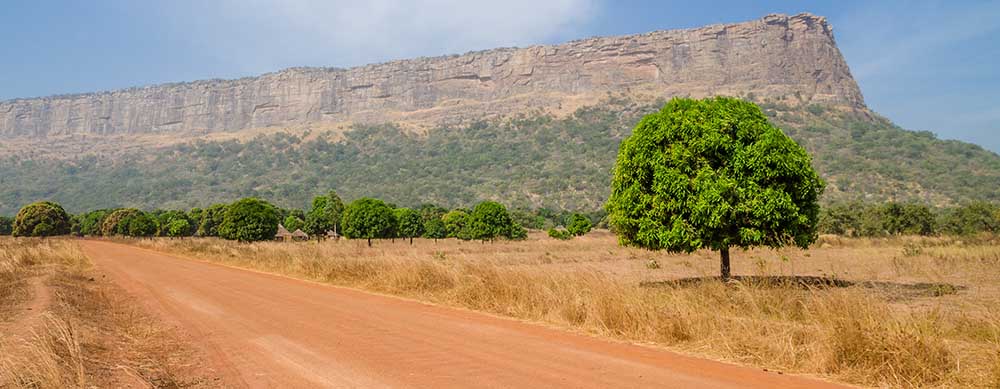 hatch homes and wildlife in Guinea are fascinating, but yellow fever isn't. Stay protected with vaccinations and more from Passport Health.