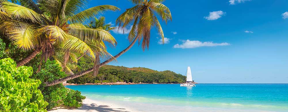 Crystal clear waters and relaxing beaches make Jamaica a must-visit destination. Passport Health will provide you with the vaccines and information you need.