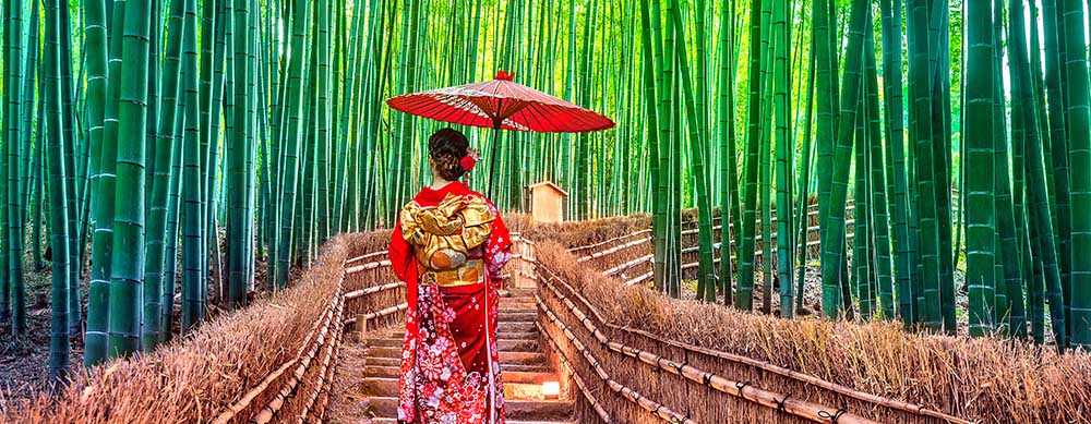 Japan is rich in history and amazing sights. Visit the country worry-free with the help of Passport Health's expert vaccination services.