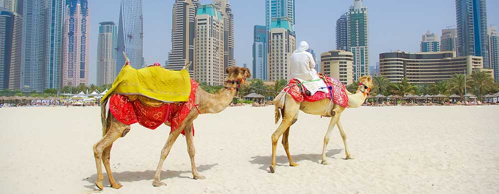 Hajj, the Holy Land, Dubai; there is such a wide variety of options. Be sure you're protected while abroad.
