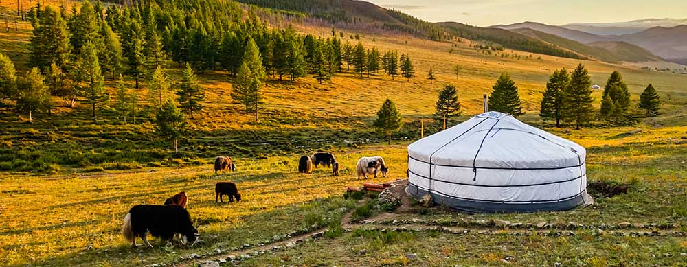 Calm plains and amazing people make Mongolia a must visit. Passport Health offers vaccines and more to help you travel safely.