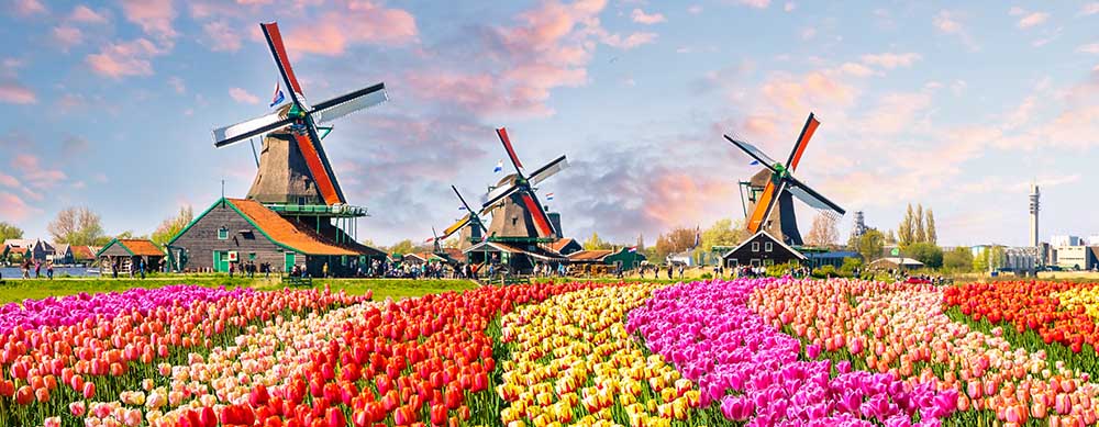 From windmills to tulips, the Netherlands has something for everyone. Visit Passport Health to ensure you travel safely.