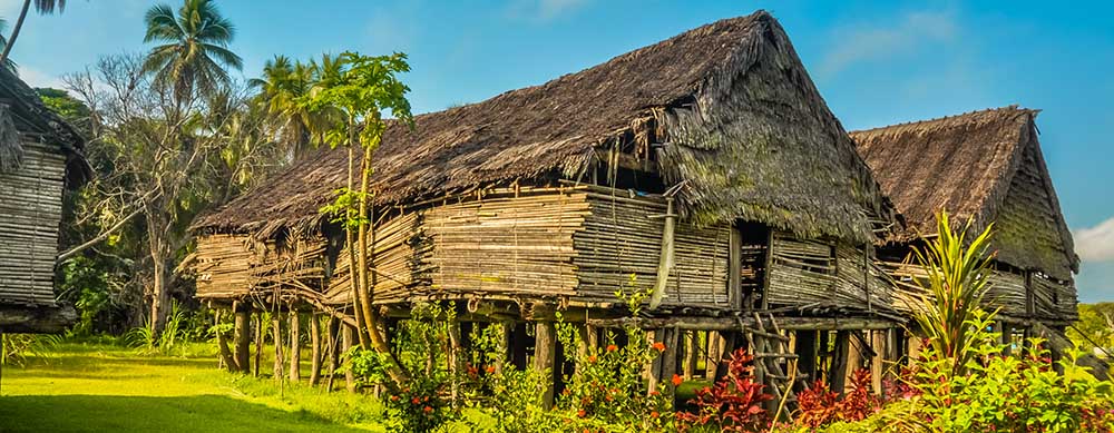 Thatch homes and wildlife in Papua New Guinea are fascinating, but yellow fever isn't. Stay protected with vaccinations and more from Passport Health.