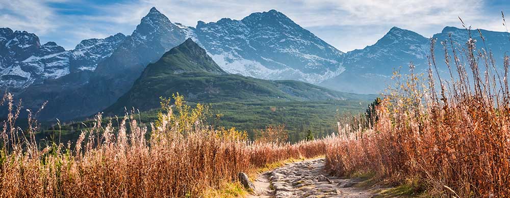 Amazing landscapes and fantastic urban areas make Poland very popular. But, infections are present. Learn more and stay protected with Passport Health.