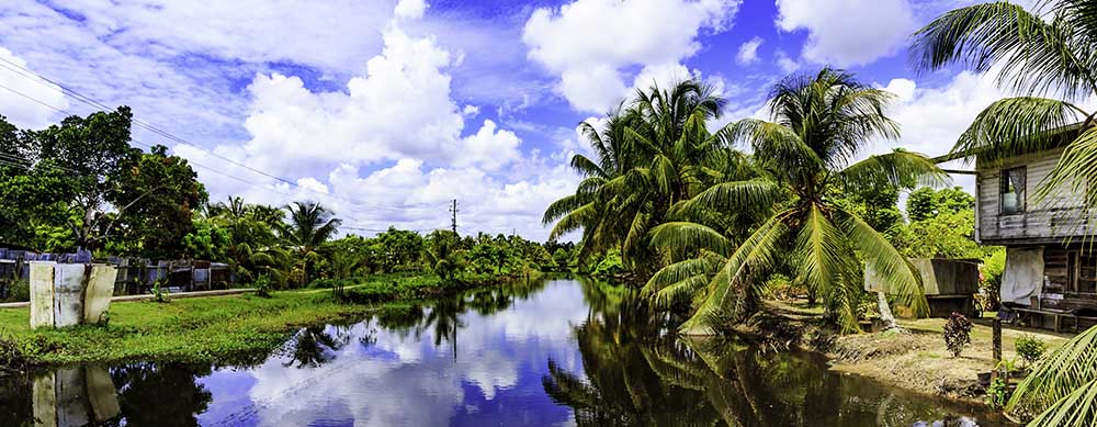Calm riversides and serene scenes dot Suriname. Enjoy it without worry with Passport Health's premiere travel vaccination and medication services.