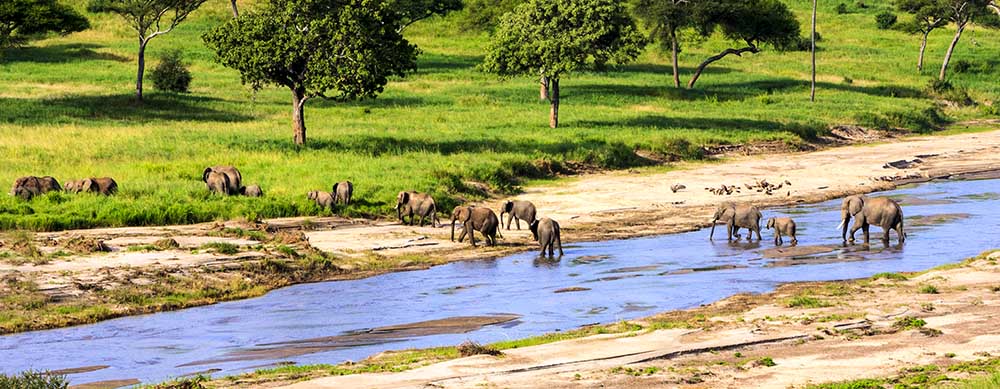Safaris and wildlife are just two reasons to visit Tanzania. Travel safely with the help of Passport Health and its premier travel vaccination services.