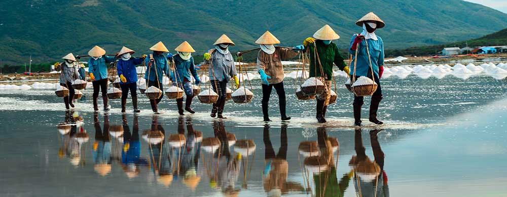 Rice paddies and nature beauty are hallmarks of Vietnam. Visit them safely with Passport Health premier vaccination services.